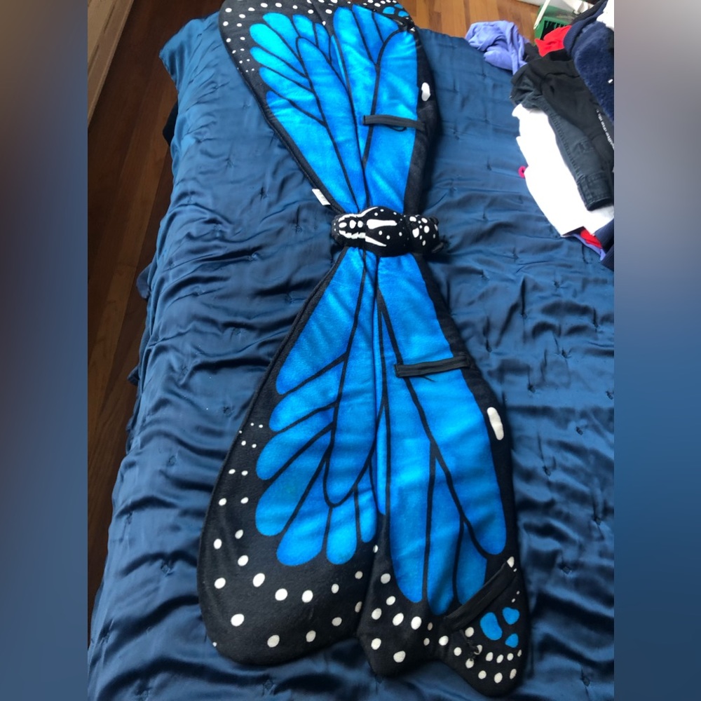 Blue butterfly wings